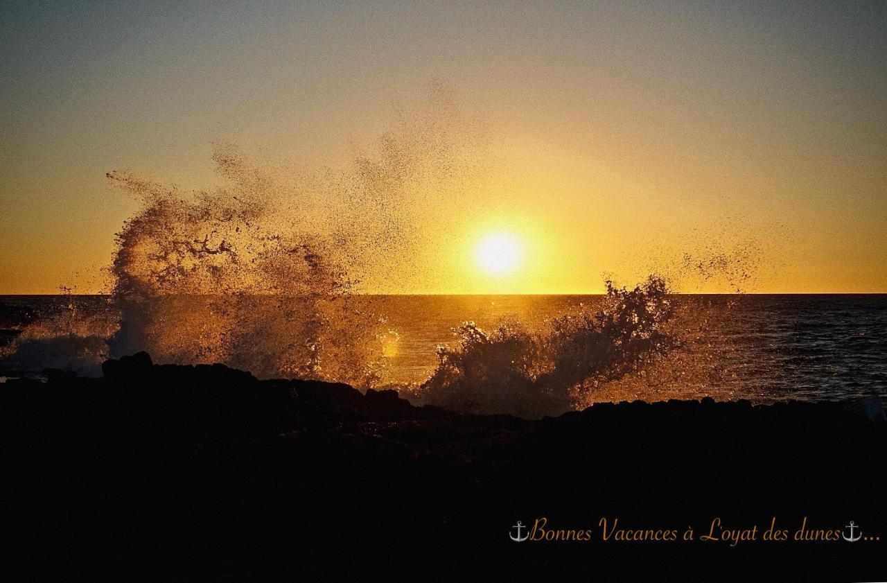 L’oyat des dunes•••• hypercentre, proche plage 2ch Fort-Mahon-Plage Extérieur photo